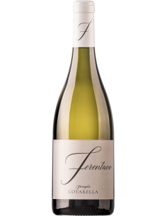 White Wines - Lazio Bianco IGP 'Ferentano' 2017 (750 ml.) - Famiglia Cotarella - Cotarella - 1