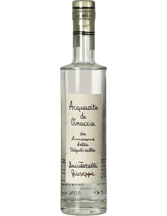 Type - Acquavite di Vinaccia di Amarone  (375 ml.) - Giuseppe Quintarelli - Quintarelli - 1