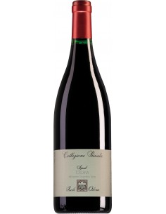 Red Wines - Toscana IGT Syrah 'Collezione Privata' 2019 (750 ml.) - Isole e Olena - Isole e Olena - 1