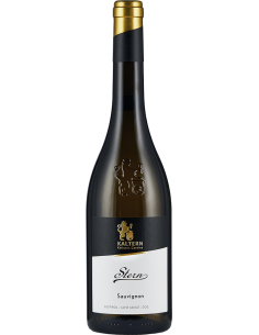 White Wines - Alto Adige Sauvignon DOC 'Stern' 2021 (750 ml.) - Cantina di Caldaro Kaltern - Kaltern Cantina di Caldaro - 1