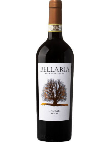 Irpinia DOCG Aglianico 2019 (750 ml.) - Bellaria Bellaria - 1