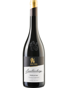 Alto Adige Kalterersee Classic Superior DOC 'Leuchtenberg' 2022 (750 ml.) - Cantina di Caldaro Kaltern Kaltern Cantina di Caldar