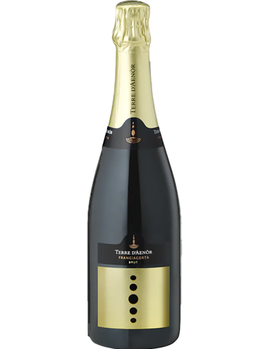 Vini Spumanti - Franciacorta DOCG Brut Bio (750 ml.) - Terre d'Aenor - Terre d'Aenor - 1