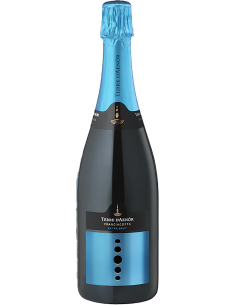 Sparkling Wines - Franciacorta DOCG Extra Brut Organic Millesime' 2019 (750 ml.) Terre d'Aenor - Terre d'Aenor - 1