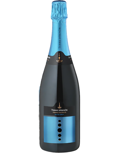 Sparkling Wines - Franciacorta DOCG Extra Brut Organic Millesime' 2019 (750 ml.) Terre d'Aenor - Terre d'Aenor - 1