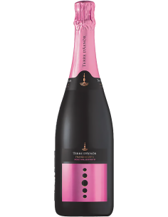 Vini Spumanti - Franciacorta DOCG Rose' Extra Brut Bio Millesimato 2019 (750 ml.) Terre d'Aenor - Terre d'Aenor - 1