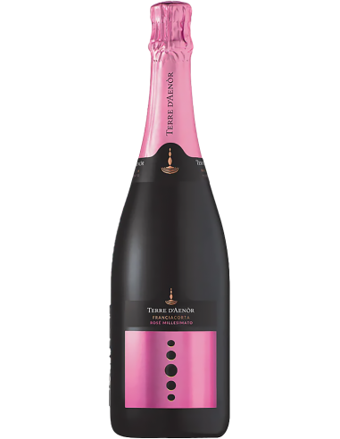 Vini Spumanti - Franciacorta DOCG Rose' Extra Brut Bio Millesimato 2019 (750 ml.) Terre d'Aenor - Terre d'Aenor - 1