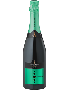 Vini Spumanti - Franciacorta DOCG  Ricciolina Saten Bio (750 ml.) Terre d'Aenor - Terre d'Aenor - 1