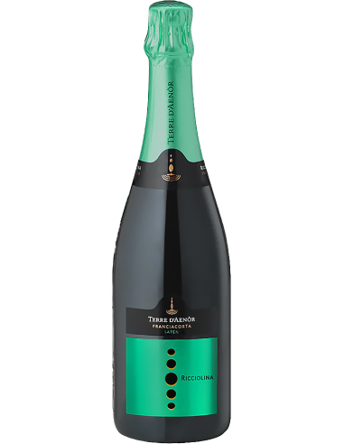 Vini Spumanti - Franciacorta DOCG  Ricciolina Saten Bio (750 ml.) Terre d'Aenor - Terre d'Aenor - 1