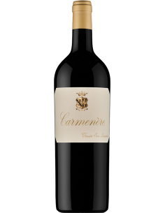 Red Wines - Vigneti delle Dolomiti IGT 'Carmenere' 2018 (750 ml.) - Tenuta San Leonardo - Tenuta San Leonardo - 1