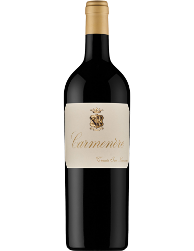 Vigneti delle Dolomiti IGT 'Carmenere' 2018 (750 ml.) - Tenuta San Leonardo Tenuta San Leonardo - 1