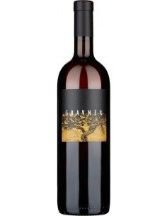 Orange Wine - Venezia Giulia Ribolla Gialla IGT 2016 (750 ml.) - Gravner - Gravner - 1