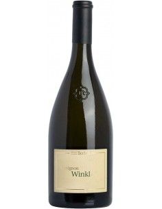 Alto Adige Sauvignon Blanc DOC 'Winkl' 2023 (750 ml.) - Terlan Terlan - 1