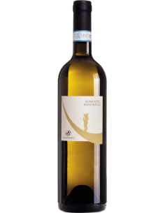 Ischia DOC Biancolella 2022 (750 ml.) - Cenatiempo Cenatiempo - 1