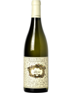 Colli Orientali del Friuli DOC 'Illivio' 2022 (750 ml.) - Livio Felluga Livio Felluga - 1