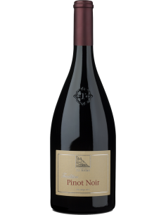 Alto Adige Pinot Nero 2023 (750 ml.) - Terlan Terlan - 1