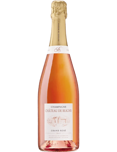 Champagne - Champagne Grand Reserve Brut Rose' (750 ml.) - Chateau de Bligny - Chateau de Bligny - 1