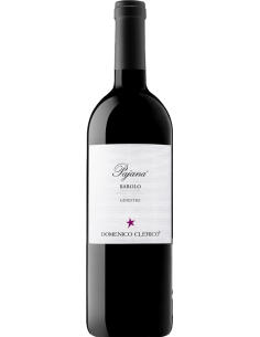 Barolo DOCG Ginestra 'Pajana' 2020 (750 ml.) - Domenico Clerico Domenico Clerico - 1