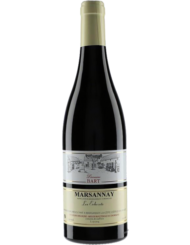 Marsannay 'Les Echezots' 2021 (750 ml.) - Domaine Bart Domaine Bart - 1