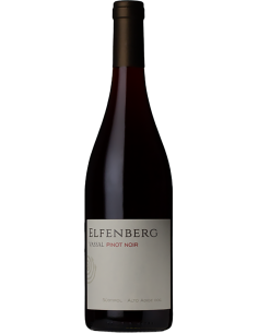 Red Wines - Alto Adige DOC Pinot Noir 2021 (750 ml.) - Elfenberg - Gilfenstein - 1