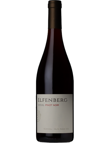 Red Wines - Alto Adige DOC Pinot Noir 2021 (750 ml.) - Elfenberg - Gilfenstein - 1