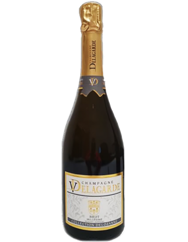 Champagne Brut Millesime' 2016 (750 ml.) V. Delagarde Delagarde - 1