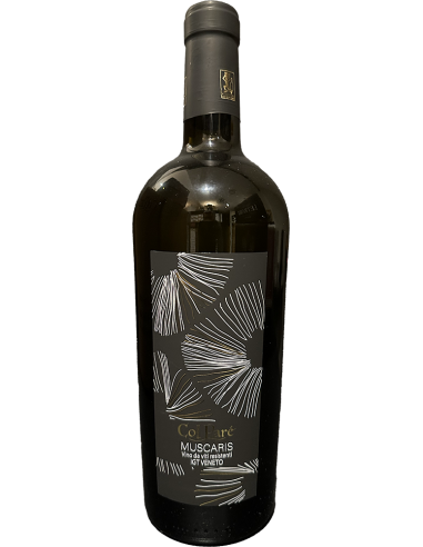 White Wines - Veneto IGT Muscaris 2023 (750 ml.) Col Pare' - Col Pare' - 1