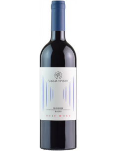 Bolgheri DOC 'Ruit Hora' 2021 (750 ml.) - Caccia al Piano Caccia al Piano - 1