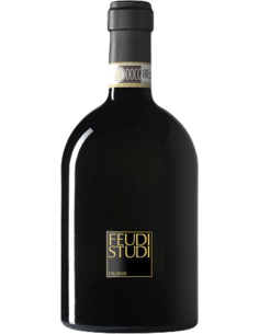 Red Wines - Taurasi DOCG 'Candriano' FeudiStudi 2011 (750 ml.) - Feudi di San Gregorio - Feudi di San Gregorio - 1