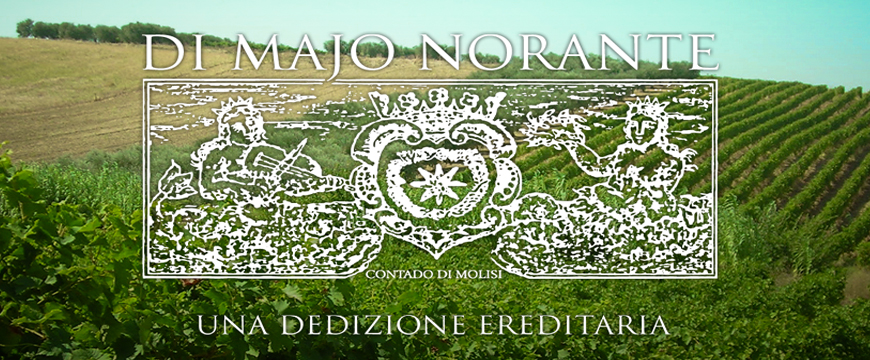 Di-Majo-Norante_870x360.jpg