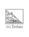 Terlan