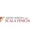 Scala Fenicia