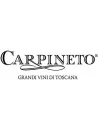 Carpineto